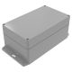 RBF85 Electronic Enclosure